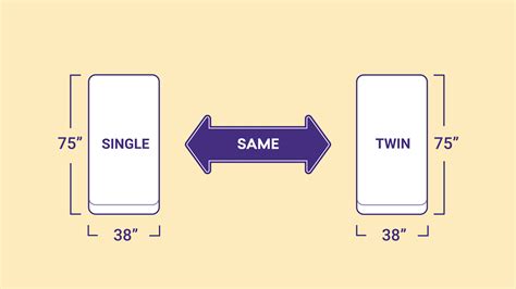 Single vs. Twin Bed Size: What's the Difference? - Sleep Junkie