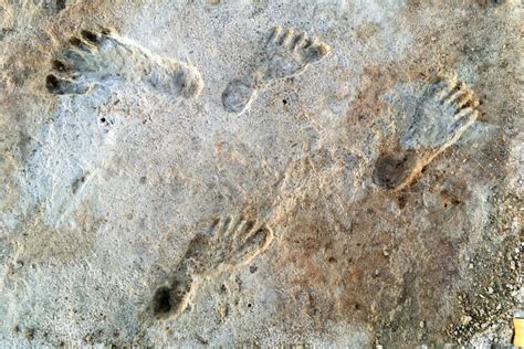 Fossil footprints show humans in North America more than 21,000 years ago