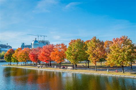 Fall Foliage in Montreal 2024 - Rove.me