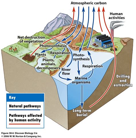 Energy Diagram For Carbon