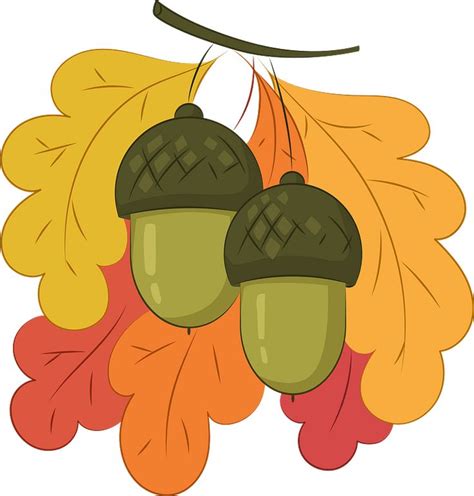 Acorns clipart. Free download transparent .PNG | Clip art, Autumn ...