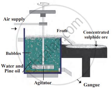 Explain the froth floatation method with a neat labelled diagram ...