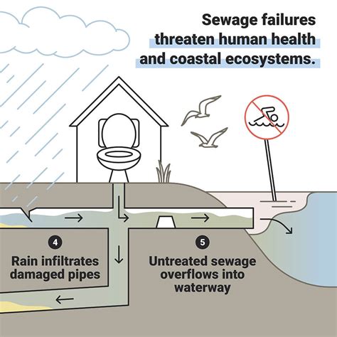 How do sewage spills and failures pollute coastal watersheds ...