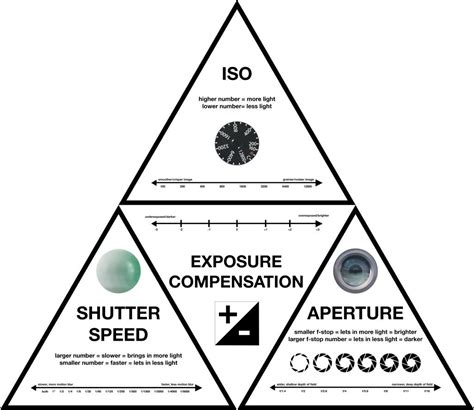 A Complete Beginner’s Guide to Understanding Aperture, Shutter Speed ...