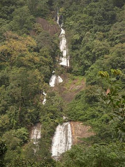 Panayam Ponmudi Waterfalls