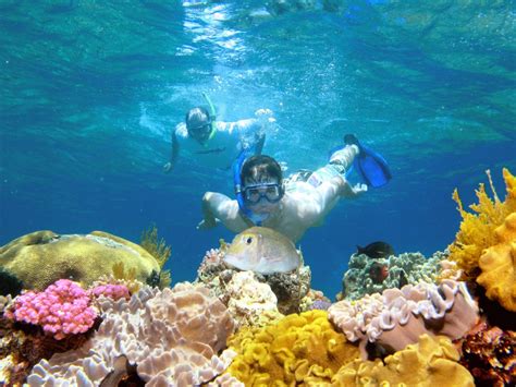 Port Douglas Snorkel Tour | Great Barrier Reef Luxury Reef Trip