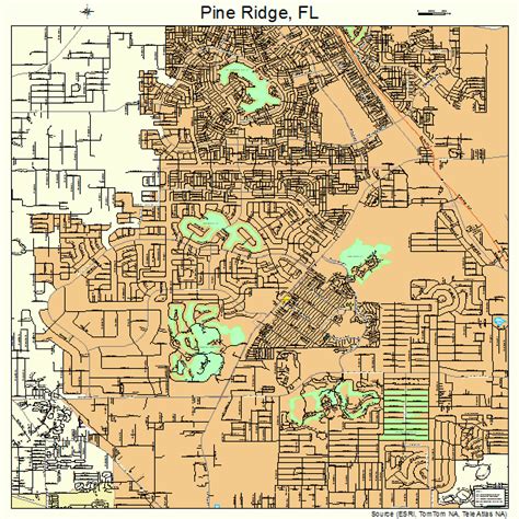 Pine Ridge Florida Street Map 1257058