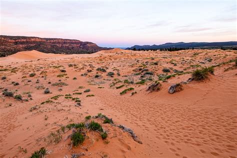 Coral Pink Sand Dunes State Park | A Red Spatula