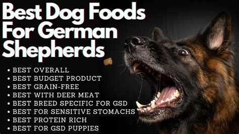 Best Dog Foods For German Shepherds - YouTube