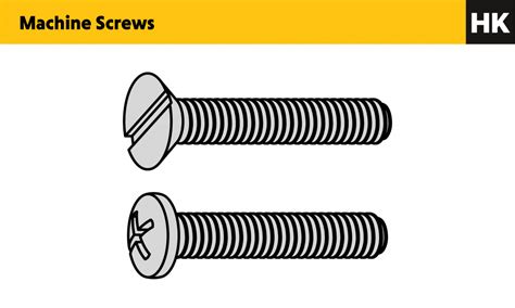 What Are the Different Types of Screw? | Hitchcock & King