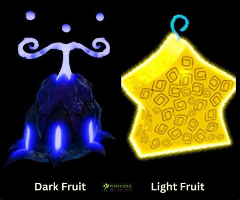 Dark Fruit Vs Light Fruit (What's the Difference)