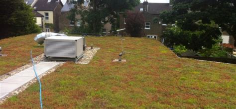 Green Roof Installation | Bromley, Petts Wood, Kent | RoofControl