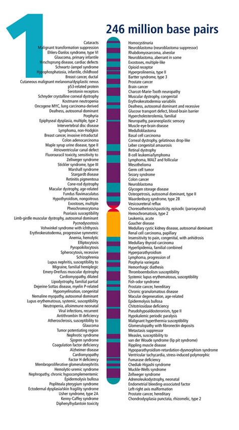 Introduction To Chromosome 1