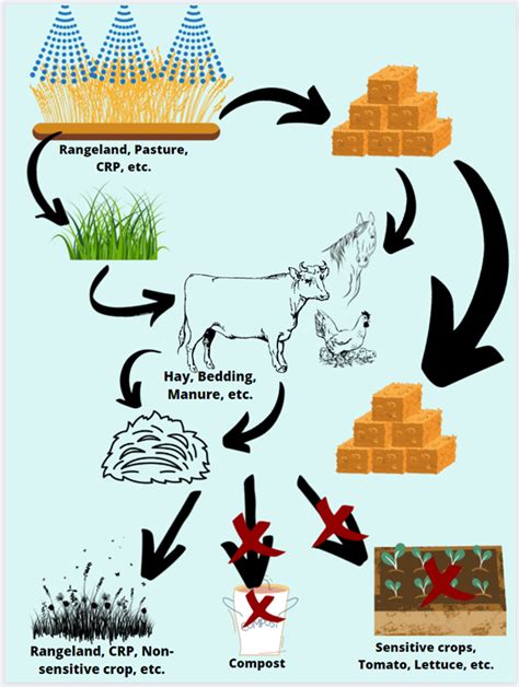 Manure and the Environment | UNL Water