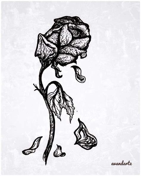 Wilted Rose Drawing at PaintingValley.com | Explore collection of ...