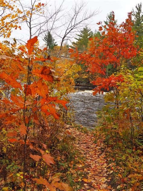 The 7 Best Places to See Fall Colors in Minnesota – HammockLiving