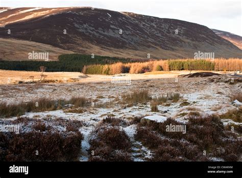 Scottish Highlands in Winter Stock Photo - Alamy