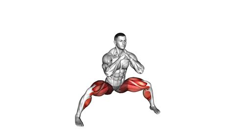 Horse Stance Squat (Male): Video Guide & Tips For Effective Exercise