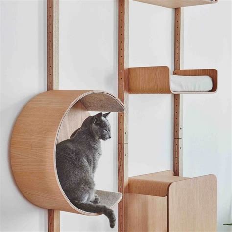 MiaCara Alto modular wall climber in 2021 | Cat wall furniture, Cat ...