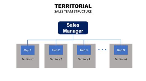 Sales Department Structure