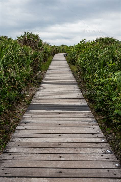 Hiking trail path Stock Photo by leungchopan | PhotoDune