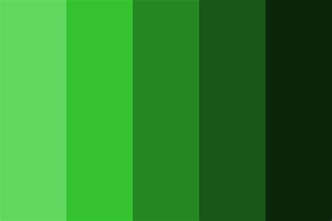 Forest Greens Color Palette