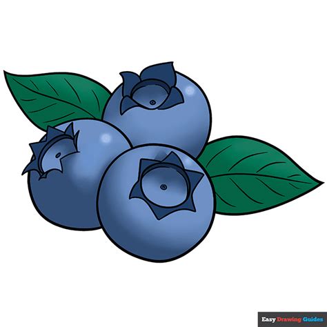 How to Draw a Blueberry - Really Easy Drawing Tutorial