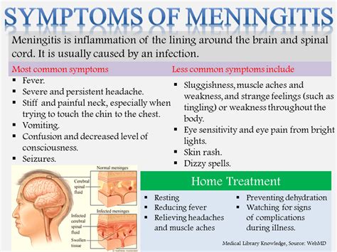 Viral Vs Bacterial Meningitis Symptoms