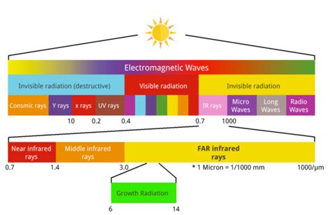 Benefits of Far Infrared - PEMF Malaysia