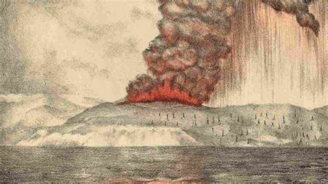 Sejarah Gunung Krakatau Meletus, Banyak Hewan Berperilaku Aneh