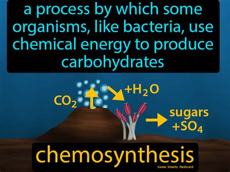 Discover the Marvels of Chemosynthesis