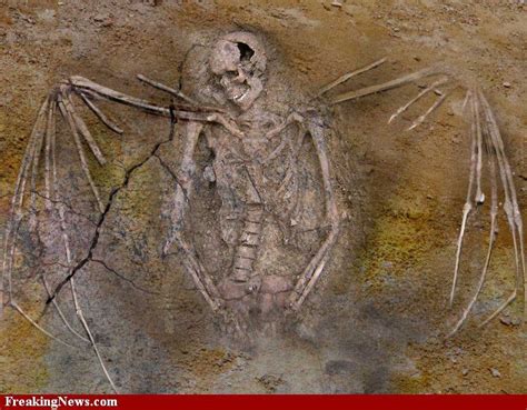 Strange Human Bird Hybrid Skeleton | Artefactos antiguos, Misterios ...