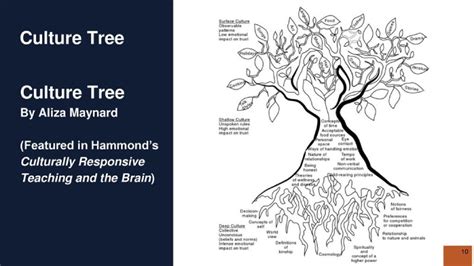 Surface Culture: The Visible Gateway to Deep Culture - School Rubric