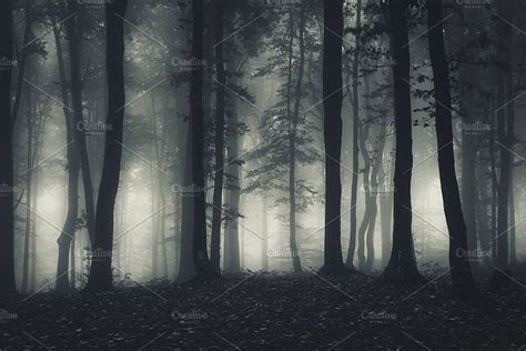 Dark haunted forest at night containing dark, haunted, and mysterious ...