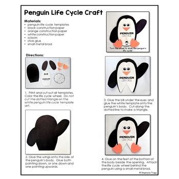 Penguin Life Cycle Craft by Stephanie Trapp | Teachers Pay Teachers