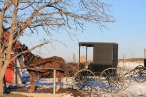 Swartzentruber Country, Ohio (22 Photos) - Amish America