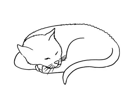 How to Draw a Sleeping Cat step by step - Easy Animals 2 Draw | Cat ...