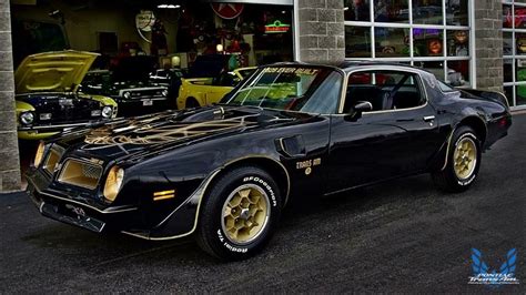 1976 Pontiac Firebird Trans Am Black and Gold | Pontiac Firebird Trans Am