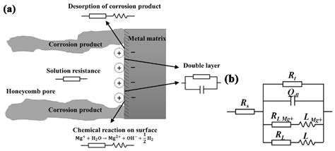 Metals | Special Issue : Oxidation of Metals