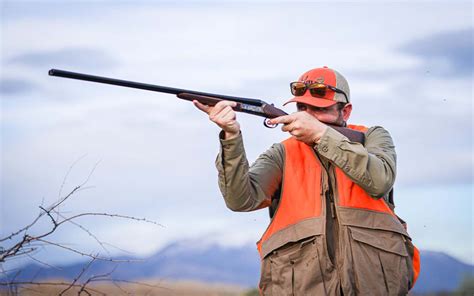 Best Shotguns for Bird Hunting of 2023 | Outdoor Life