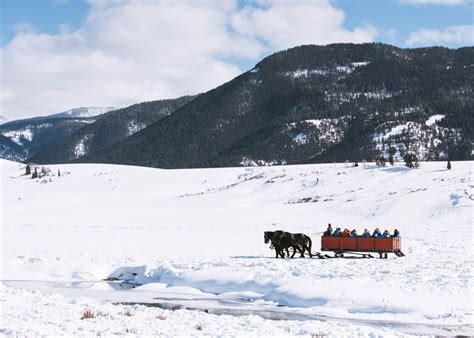 National Elk Refuge - Visit Jackson Hole