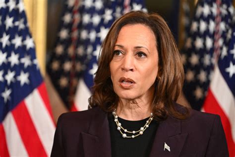 Dapat Nominasi Capres Demokrat, Kamala Harris Janji Akhiri Perang Gaza ...