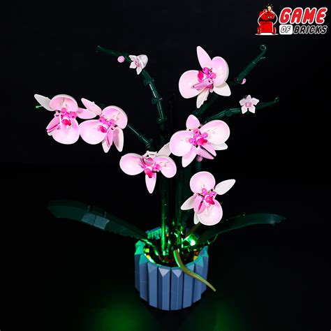 LEGO Orchid 10311 Light Kit