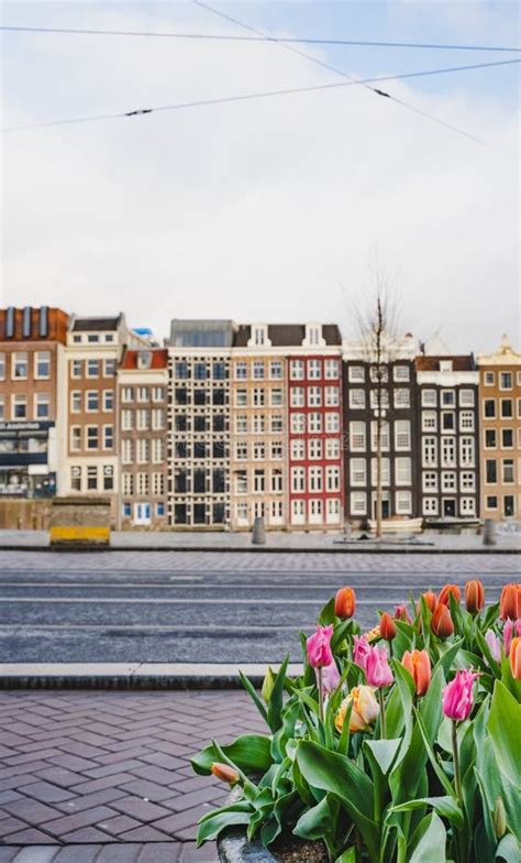 Tulips with Dancing Houses Damrak Amsterdam during the Day Netherlands ...