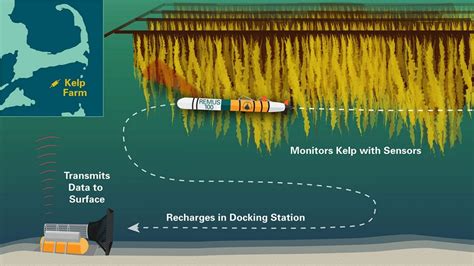 Fueling the Future – Woods Hole Oceanographic Institution