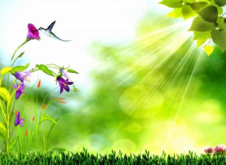 Bright Green Light - Flowers & Nature Background Wallpapers on Desktop ...