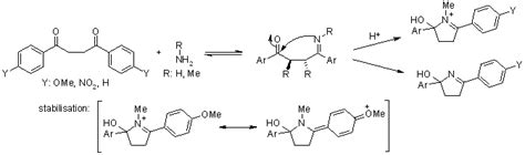 Paal-Knorr Pyrrole Synthesis