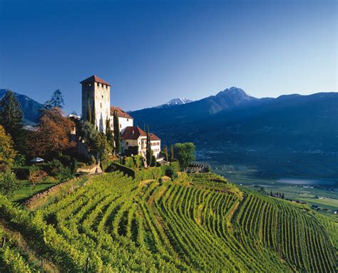 Discover the Alto Adige Wine Region | Wine Folly