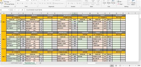 Custom 12 ACFT Training Plan - SGTsDesk