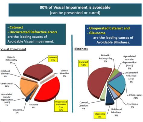 1: Visual impairment and Blindness causes distributions [2] | Download ...